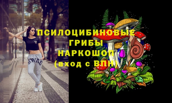 твердый Армянск