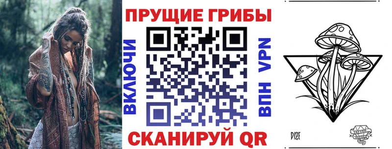 где купить наркоту Мураши Псилоцибиновые грибы мухоморы